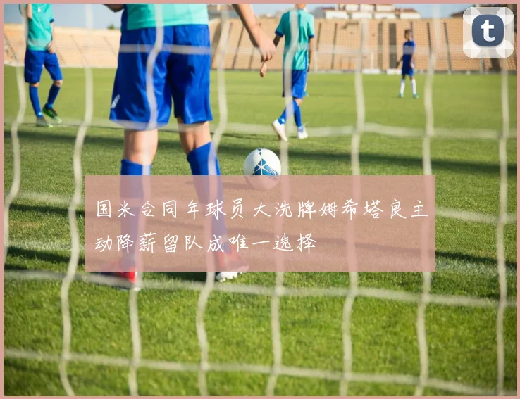 国米合同年球员大洗牌姆希塔良主动降薪留队成唯一选择