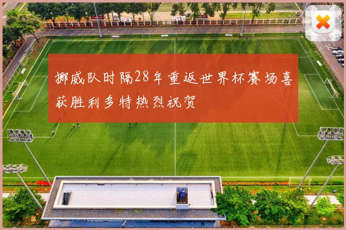 挪威队时隔28年重返世界杯赛场喜获胜利多特热烈祝贺
